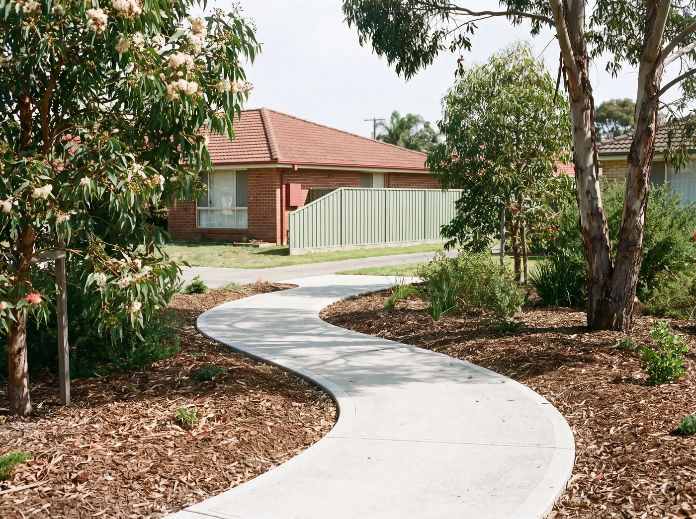 Concrete pathway through a garden